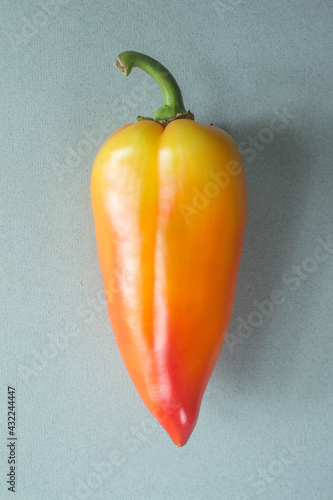 orange-red bell pepper on grey background . High quality photo
