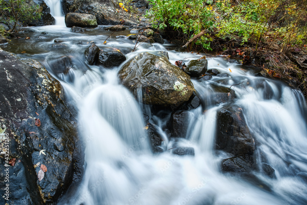 Obraz premium Nature