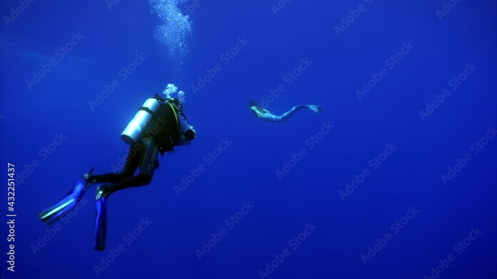 Young woman mermaid poses for camera of cameraman underwater in sea. Freediver undine water nymph with monofin on clean blue background in sea. Young woman mermaid poses for camera of cameraman underwater in sea. Freediver undine water nymph with monofin on clean blue background in sea.