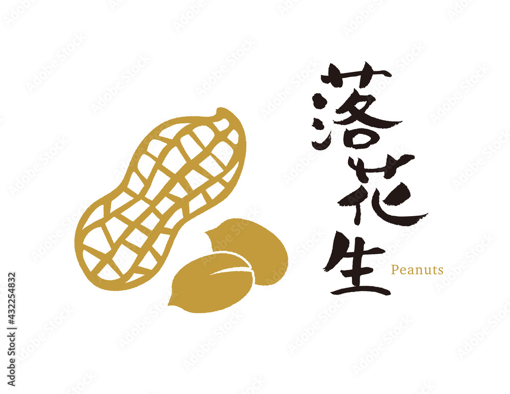 落花生 ピーナッツのイラスト Stock Vector Adobe Stock
