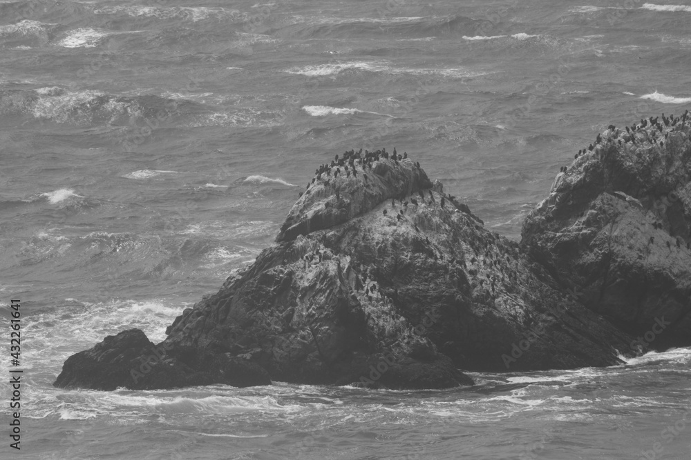 Lands End rock with birds