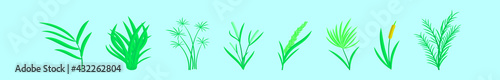 set of reeds cartoon icon design template with various models. vector illustration isolated on blue background