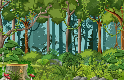 Forest scene with liana and many trees