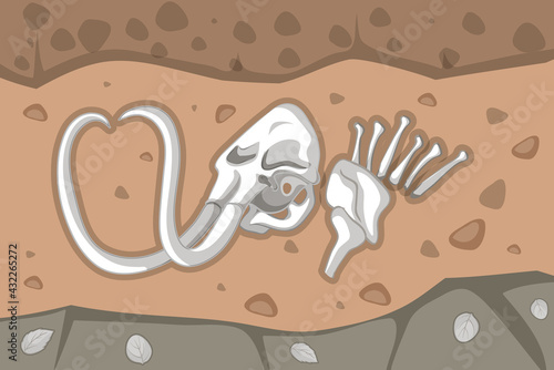 Underground soil with mammoth fossils