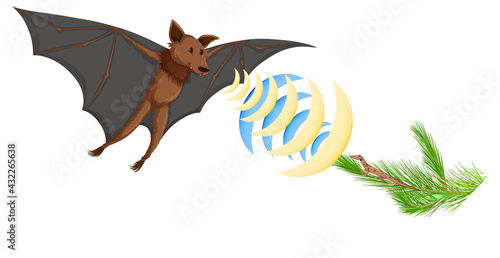 Echolocation in bats isolated on white background