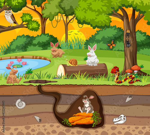 Underground animal burrow with rabbit family