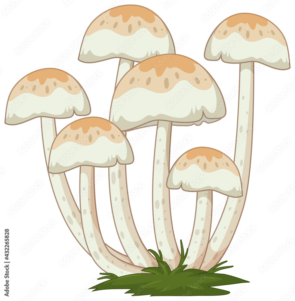 Many mushrooms in cartoon style on white background Many mushrooms in cartoon style on white background