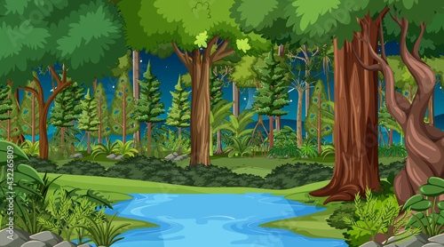 Forest landscape scene at night with many different trees