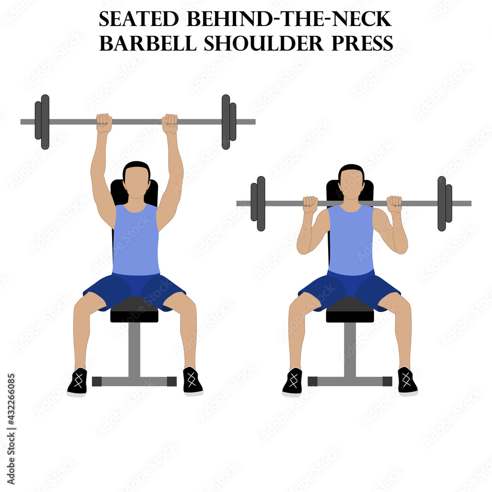Seated behind the neck barbell shoulder press exercise illustration Seated behind the neck barbell shoulder press exercise illustration