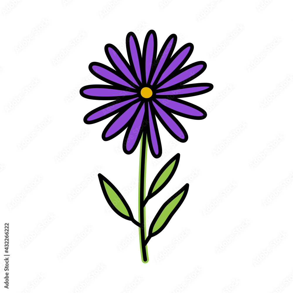 Aster. Doodle flower with stem and leaf. Vector hand drawn color sketch. Aster. Doodle flower with stem and leaf. Vector hand drawn color sketch.