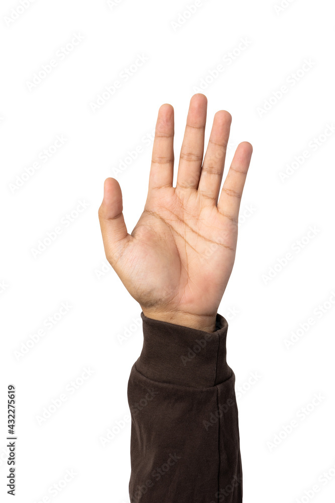 Hand raised up to the air isolated white background. Raise your hand to vote for the majority of votes Election of the leader of the country. With clipping path. Hand raised up to the air isolated white background. Raise your hand to vote for the majority of votes Election of the leader of the country. With clipping path.