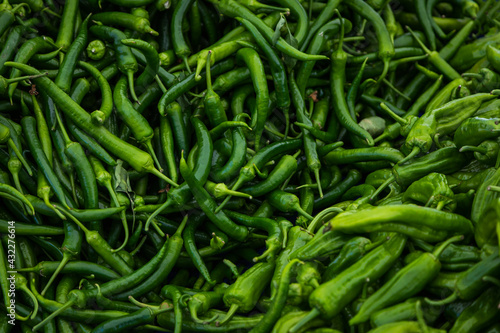 Εκτύπωση καμβά Close-up green vegetable for background, green pepper texture