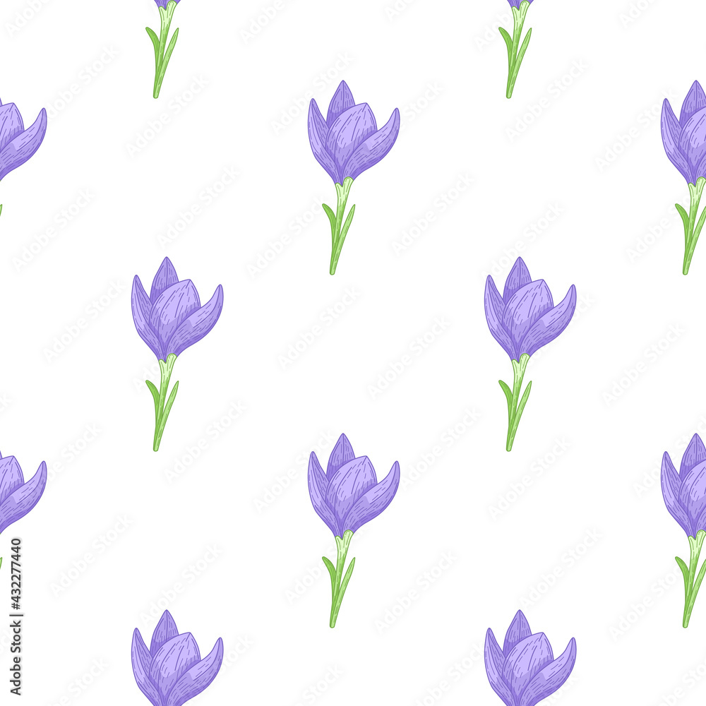 Decorative seamless pattern with blue crocus flowers cute ornament. White background. Isolated floral print. Decorative seamless pattern with blue crocus flowers cute ornament. White background. Isolated floral print.