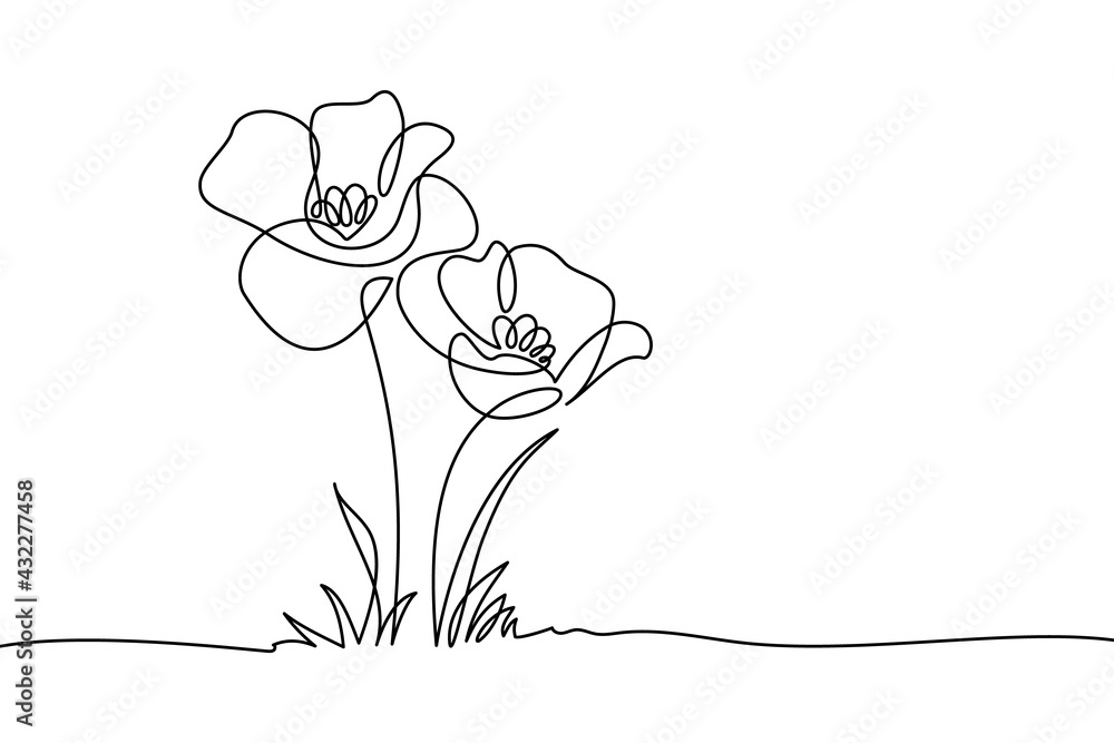 Poppy flowers in continuous line art drawing style. Doodle floral border  with two flowers blooming among grass. Minimalist black linear design  isolated on white background. Vector illustration Stock Vector | Adobe Stock