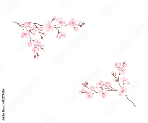 Twigs of Sakura or Cherry Blossom Arranged in Corners Vector Illustration © Happypictures