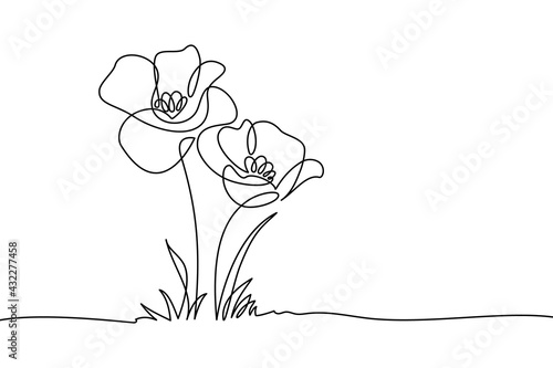 Poppy flowers in continuous line art drawing style. Doodle floral border with two flowers blooming among grass. Minimalist black linear design isolated on white background. Vector illustration photo