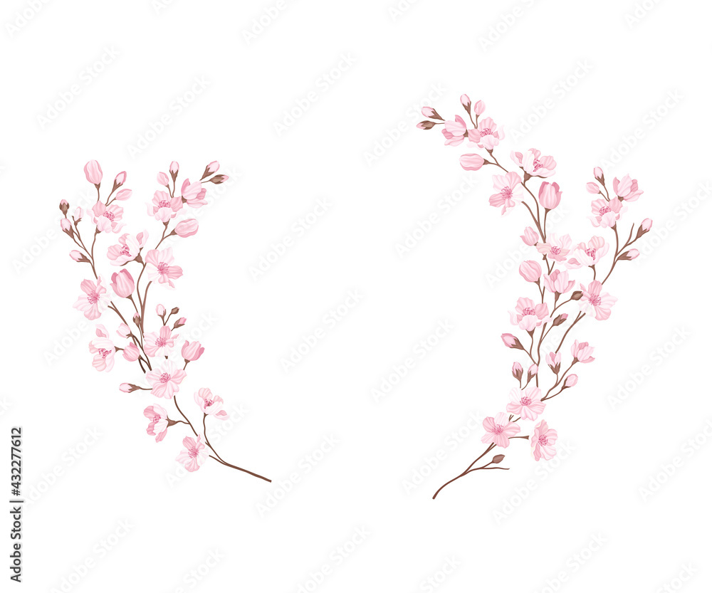 Semicircle Border Arranged of Twigs of Sakura or Cherry Blossom Vector Illustration Semicircle Border Arranged of Twigs of Sakura or Cherry Blossom Vector Illustration