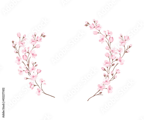 Semicircle Border Arranged of Twigs of Sakura or Cherry Blossom Vector Illustration