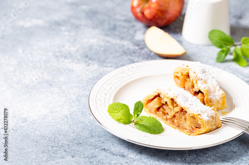 homemade flavored apple strudel in a plate on a gray concrete background with space for text