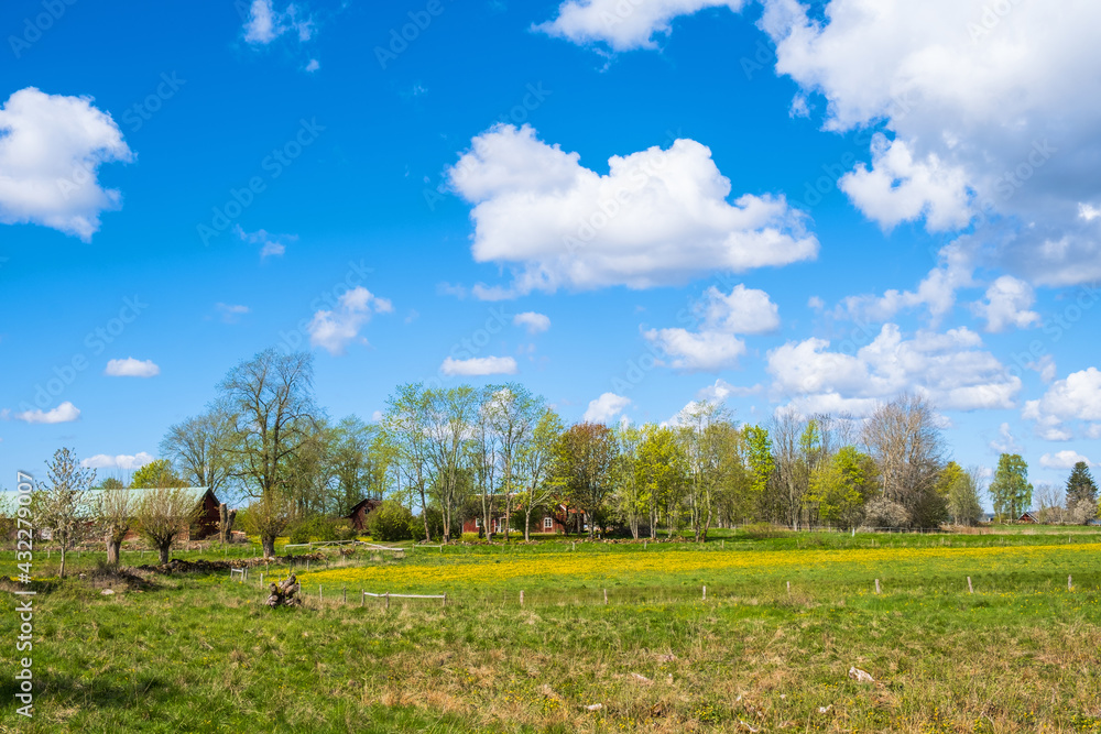 Fototapeta premium Farm in a rural landscape view with a meadow
