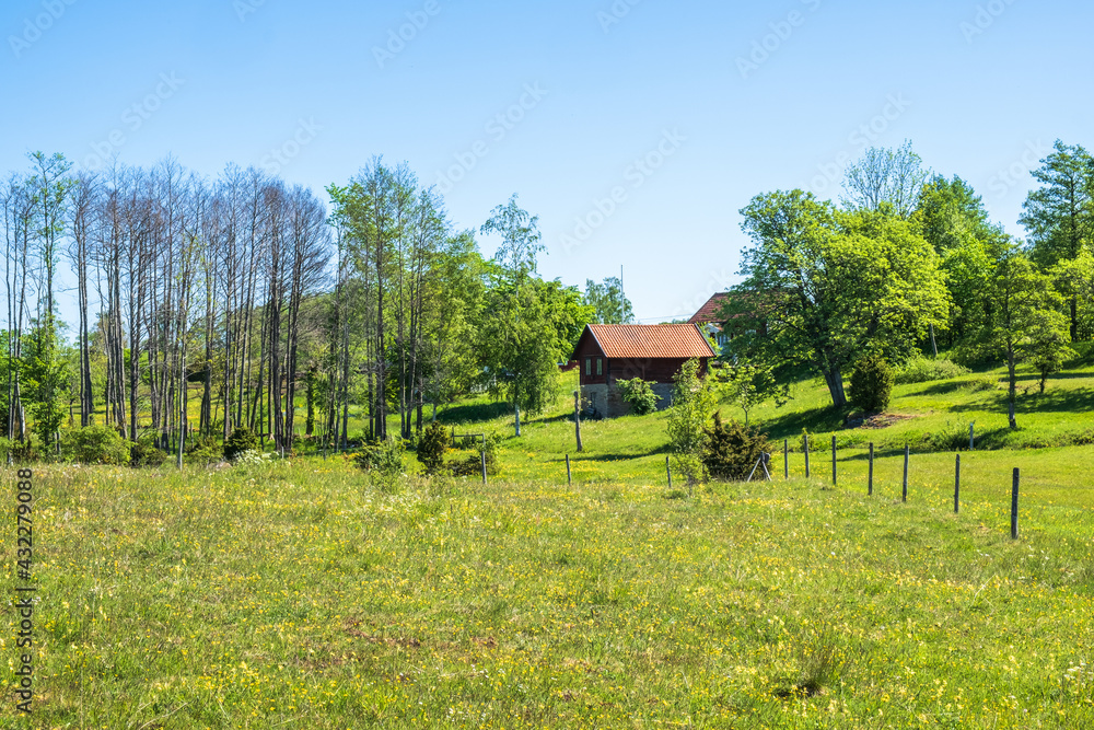 Flowering meadow in the summer with a red shed Flowering meadow in the summer with a red shed