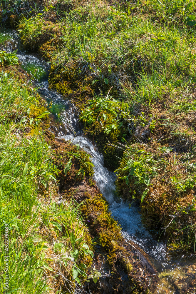 Creek with flowing water on a hillside on a meadow