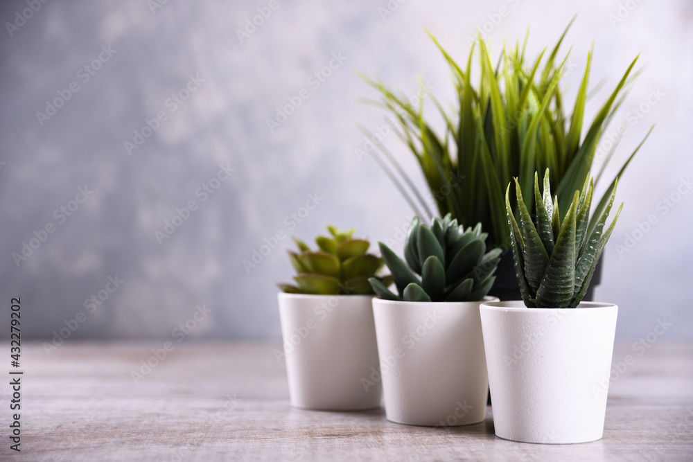 Artificial flowers grass different form in a pot on wooden background close up with copy space and text Artificial flowers grass different form in a pot on wooden background close up with copy space and text