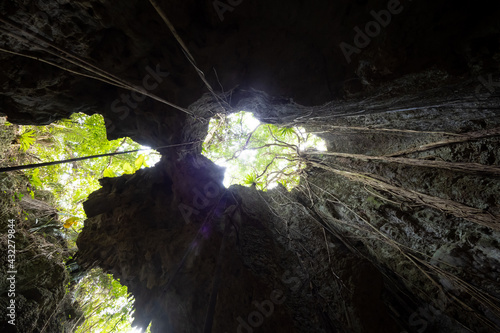 沖縄 美ら島 宮古諸島 伊良部島のパワースポット 洞窟 ヌドクビアブ 岩に食い込む木の根