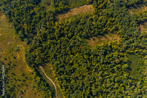 Local deforestation, aerial deforestation areas, Ukrainian forests and their destruction.