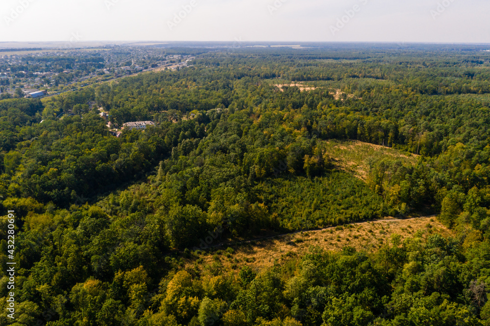 Top view of the Ukrainian forests in the Rivne region, flying over the tunnel of love.