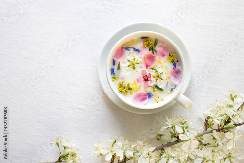 Herbal milk tea in a white tea cup on a white canvas and a natural flowering branch. Top view, space for text.