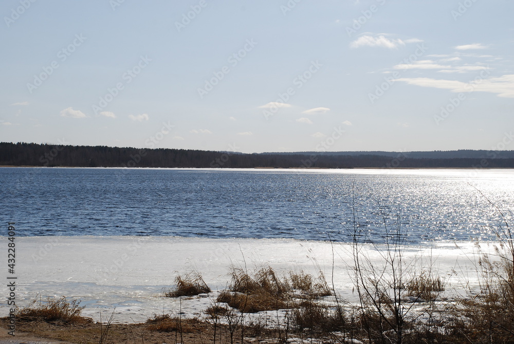 Blue river water under the spring sun. On the river near the bank and in the distance the ice is white, the middle of the river with open blue water on the bank there is sand and bushes without leaves