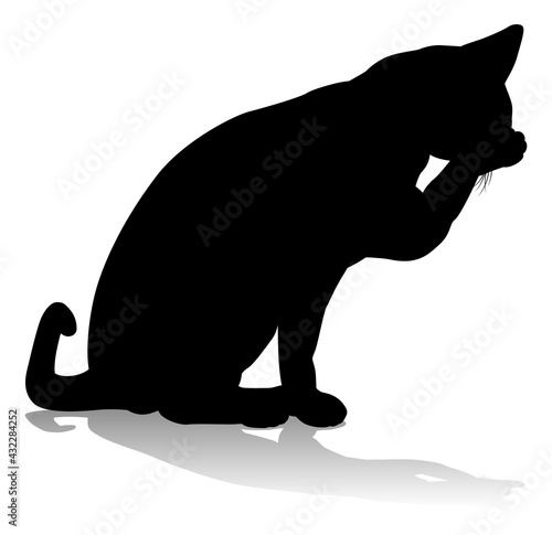Silhouette Cat Pet Animal