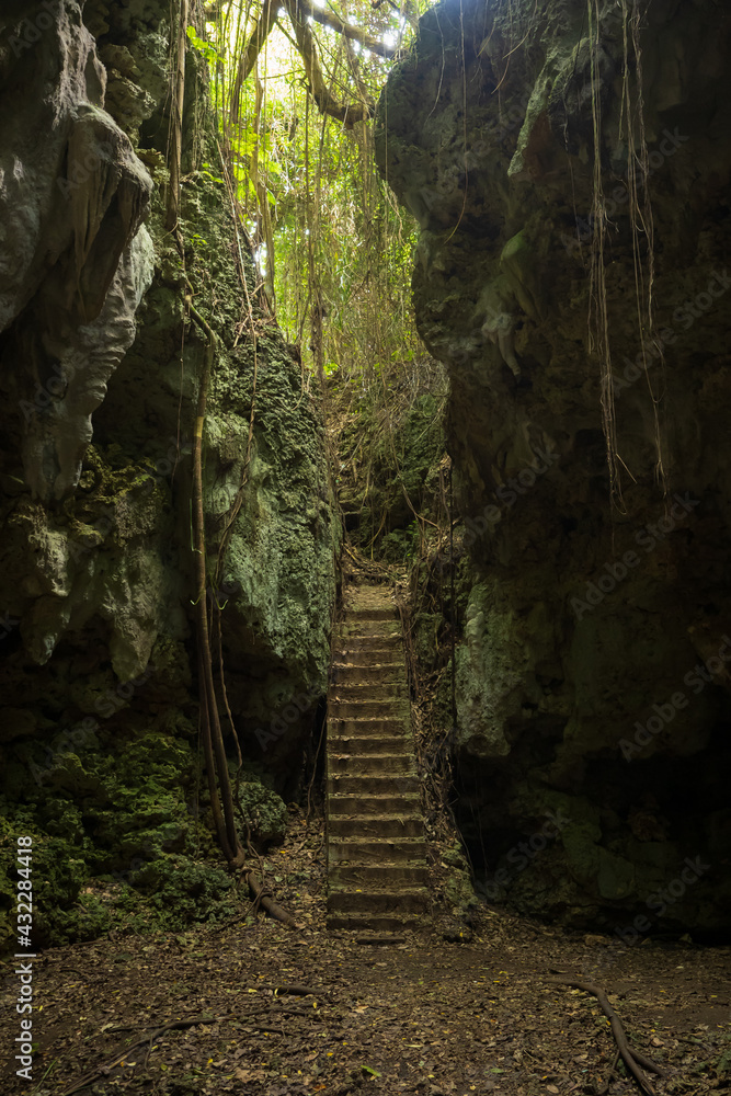 沖縄 美ら島 宮古諸島 伊良部島のパワースポット ヌドクビアブ 巨大な洞くつにガジュマルの木の根が伸びる Stock Photo Adobe Stock