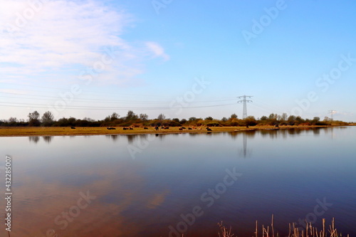 Nature reservate Hellegatsplaten on the island Goeree-Overflakkee photo