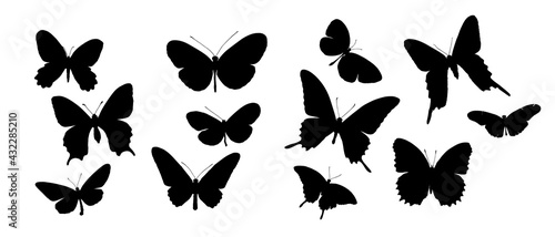 Butterfly silhouette. Black wings. Fly, isolated vector. Butterflies flat color collection. Butterfly swarm.