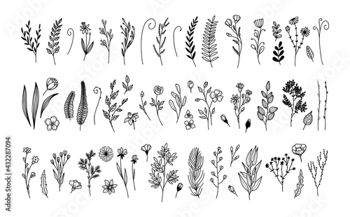 Big set trendy hand drawn minimalistic floral botanical elements.Icon with branch and leaves. Boho floral for logo design. Perfect for wedding invitations, cards, blogs.Abstract modern trendy vector 