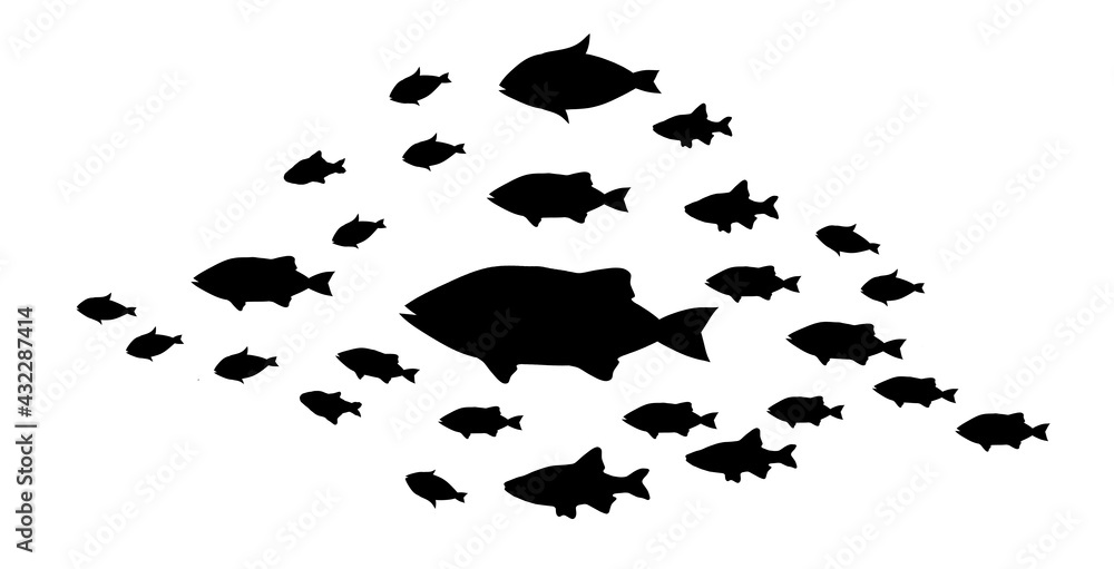 Silhouettes of groups of fishes on white Silhouettes of groups of fishes on white