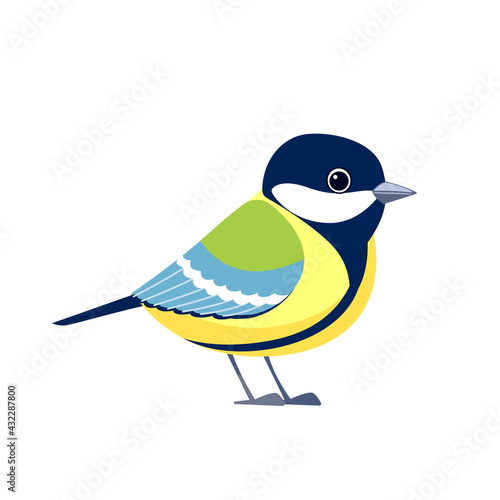 Great tit is a passerine bird in the tit family Paridae. Titmouse bird Cartoon flat style beautiful character of ornithology, vector illustration isolated on white background