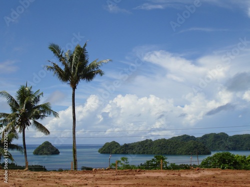 Scenic view of the Rock Islands with coconut trees from Airai State, Palau. © raksyBH