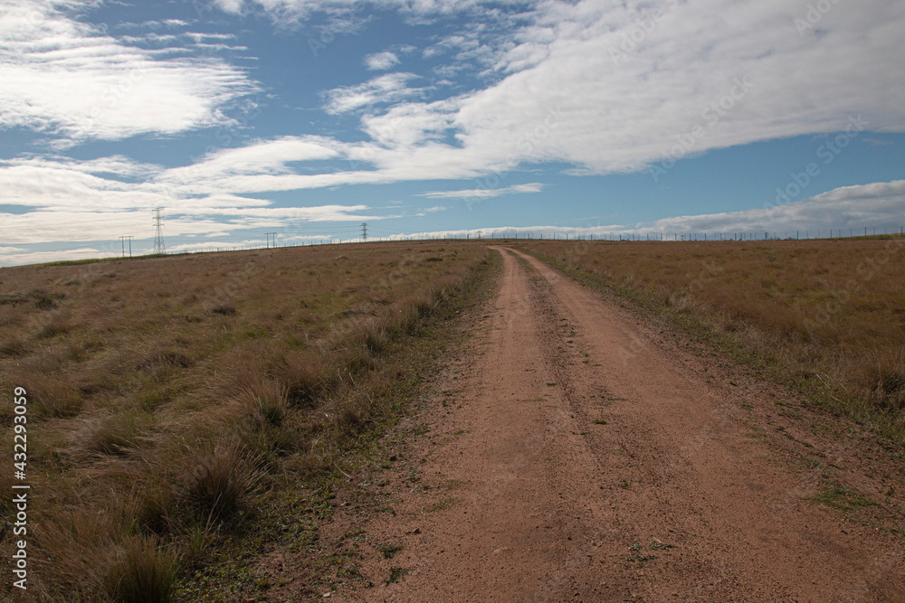 Rural Dirt Road Bordered by Dry Wintery Grass Rural Dirt Road Bordered by Dry Wintery Grass