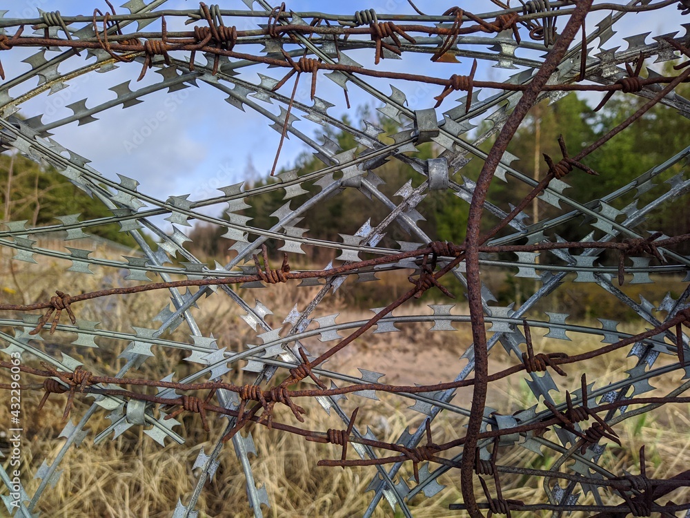 barbed wire close up on background of blue sky and forest at daytime