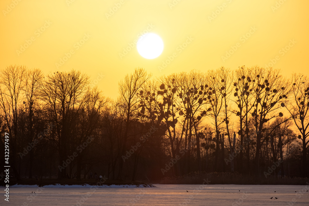 Fototapeta premium Bright yellow setting sun behind black bate trees.