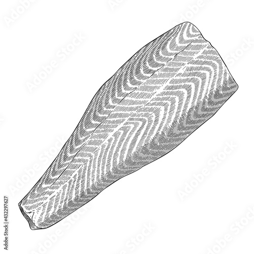 Salmon fillet, whole skin-on side of raw salmon fish, atlantic north seafood, ink cross hatching illustration, vintage black and white hand drawn art, vector clipart isolated