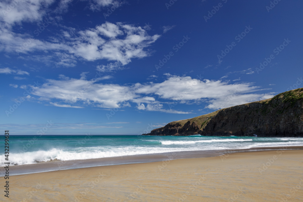 The pristine coastline at Sandfly Bay in New Zealand The pristine coastline at Sandfly Bay in New Zealand