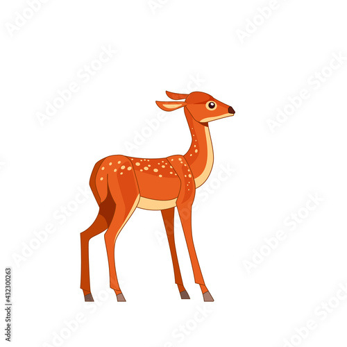 Roe deer isolated on white background. Side view. Cartoon vector flat style illustration