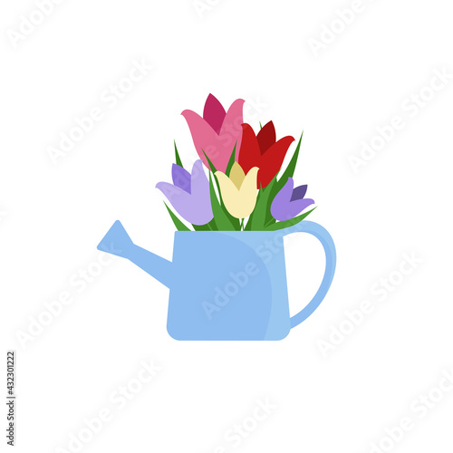 Bouquet of tulips in watering can isolated on white. Vector illustration