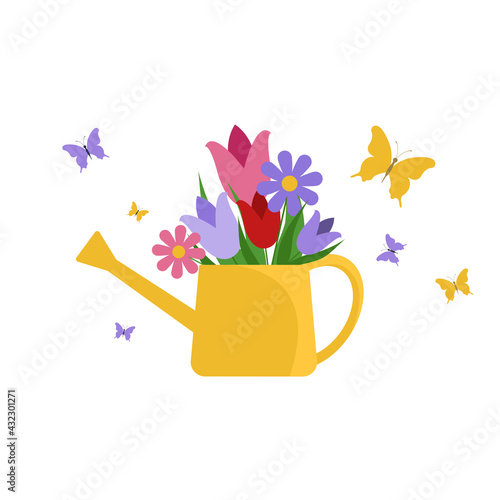 Watering can with flowers isolated on white. Butterflies flying near watering can with tulips and chamomile 