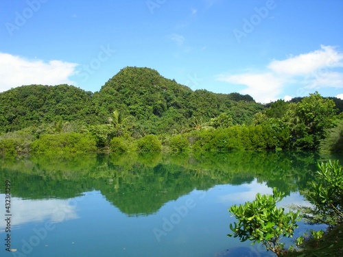 Lush forests reflected in the clear waters of Airai State, Palau.