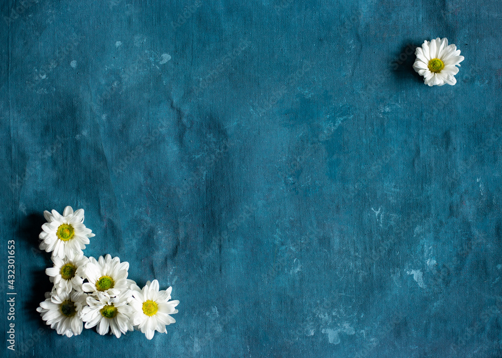 Obraz premium Group of daisies on a blue background